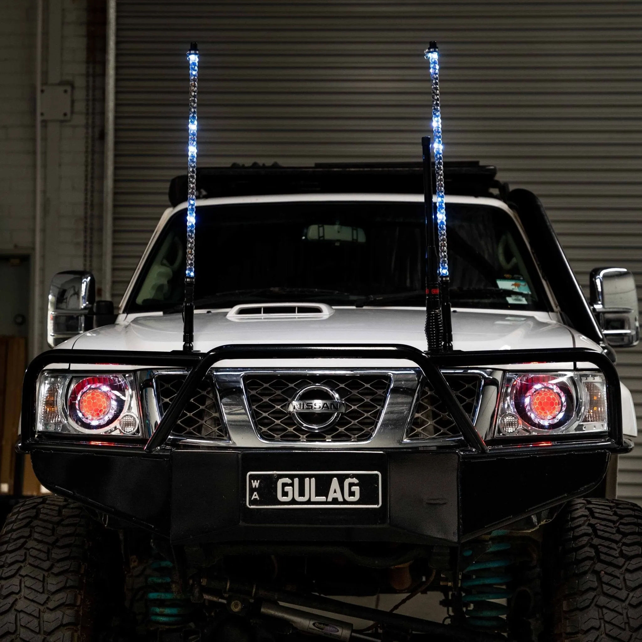 3ft LED Whip Lights