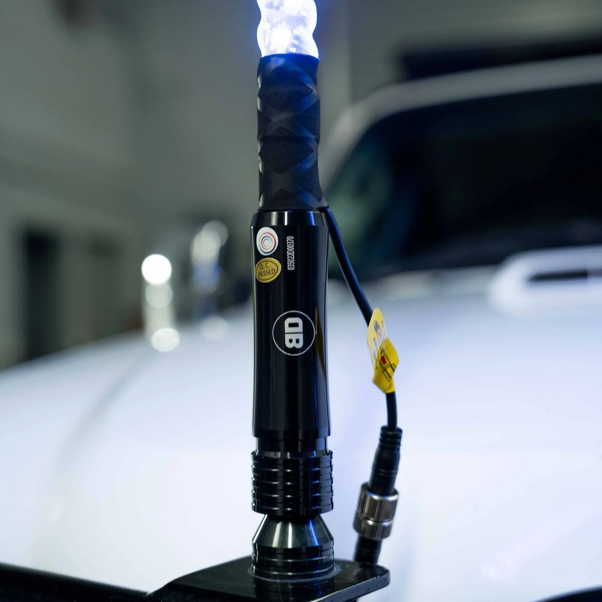 3ft LED Whip Lights
