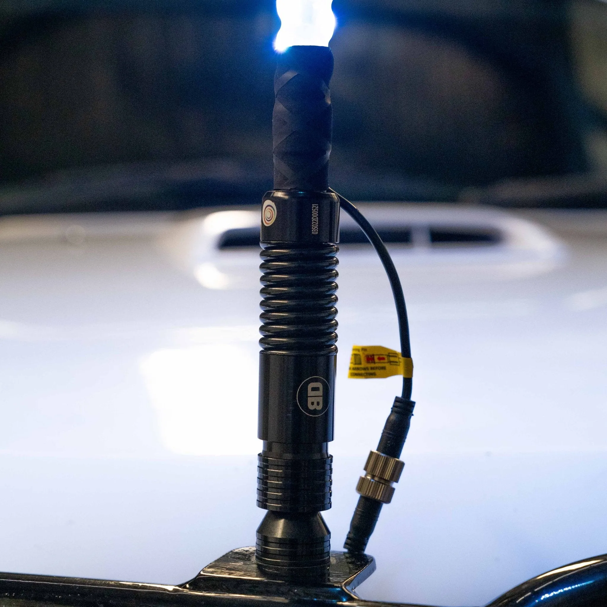 5ft LED Whip Lights