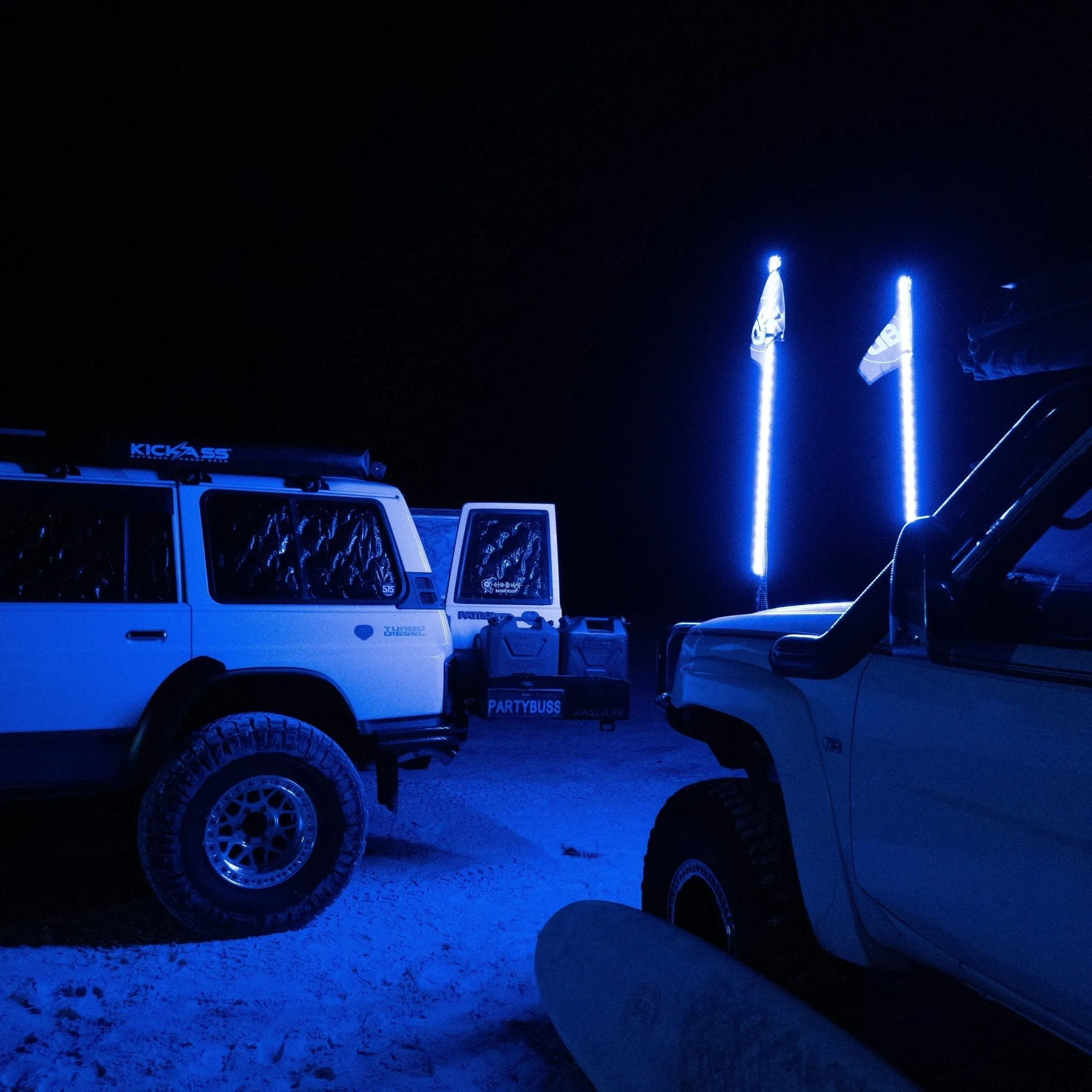 5ft LED Whip Lights