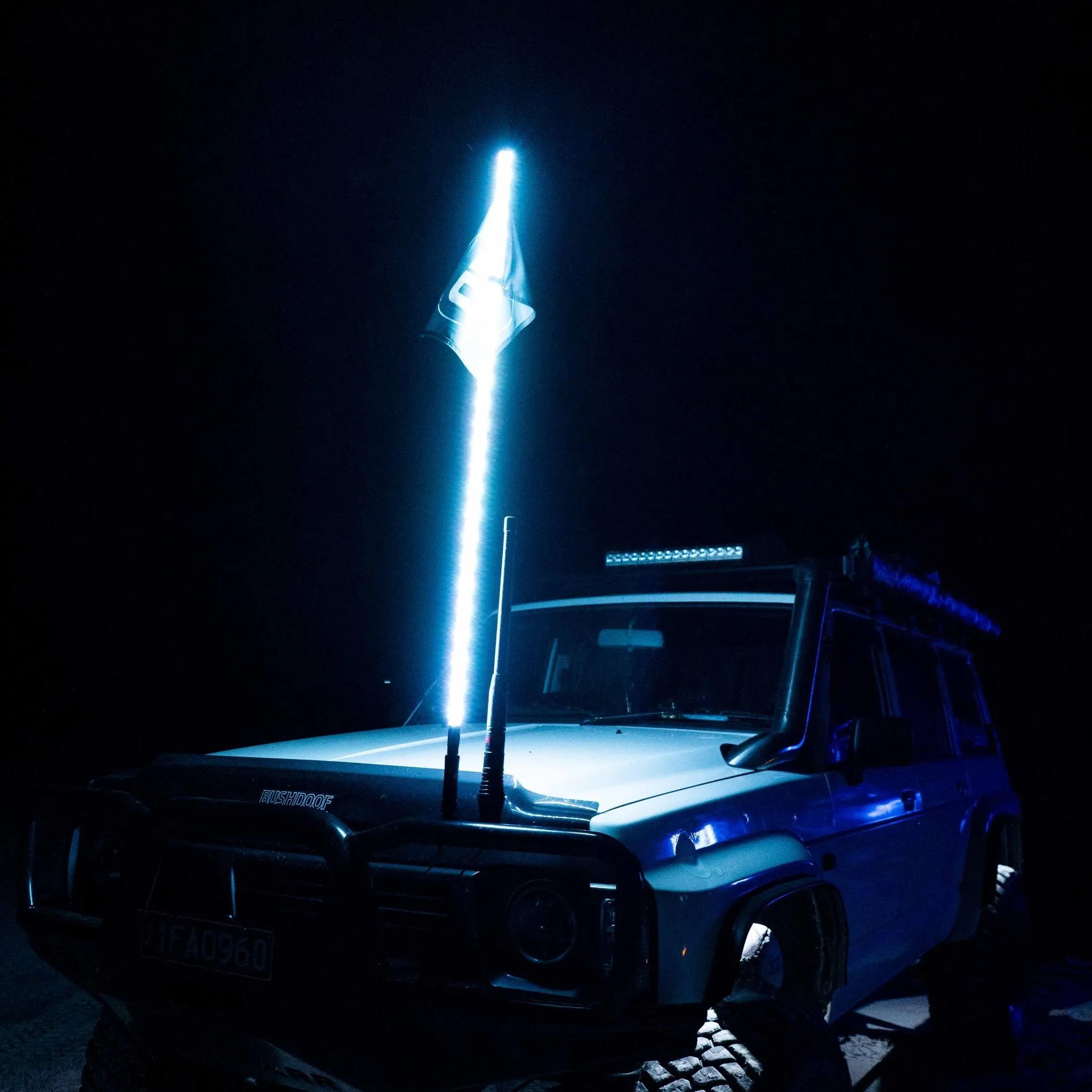 5ft LED Whip Lights