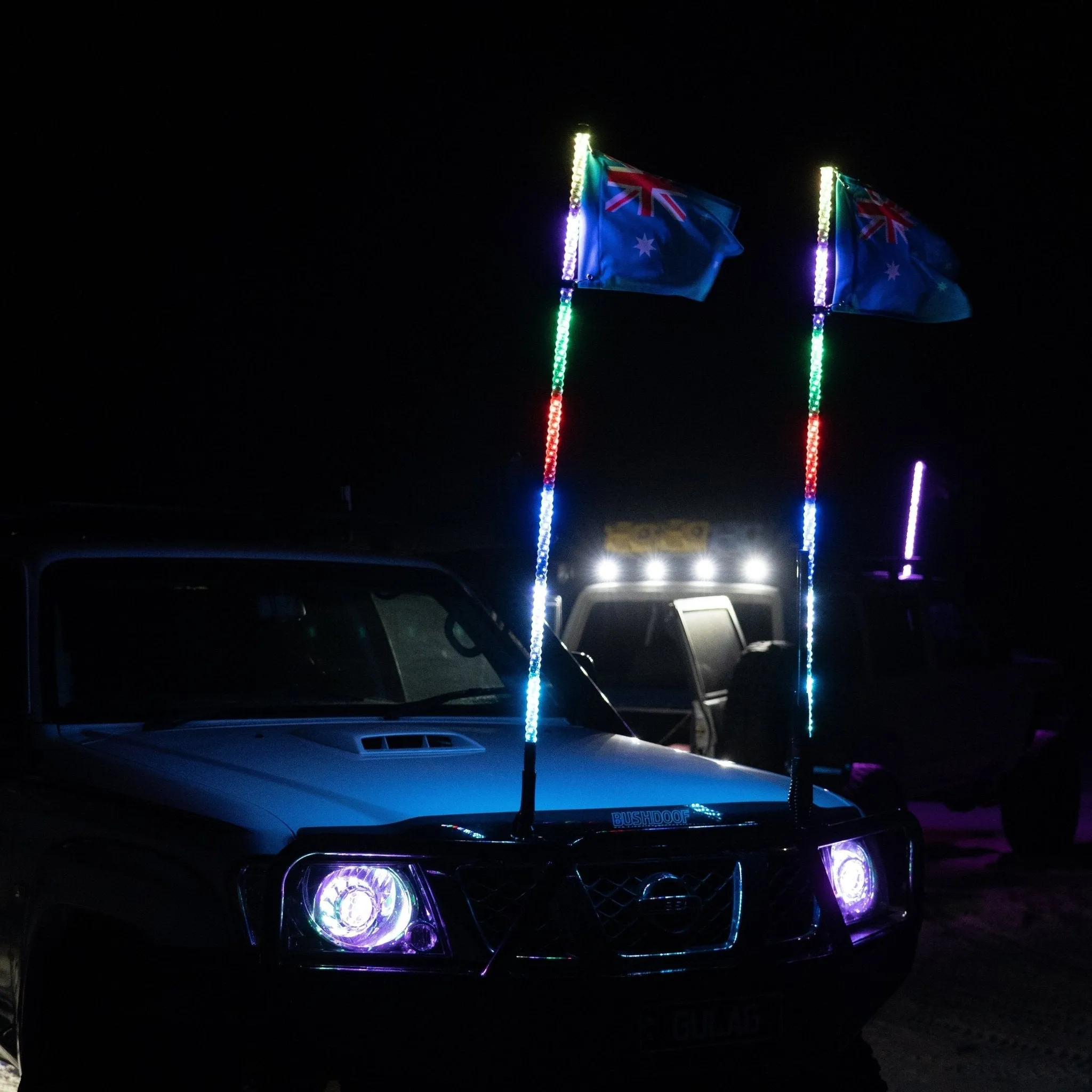5ft LED Whip Lights