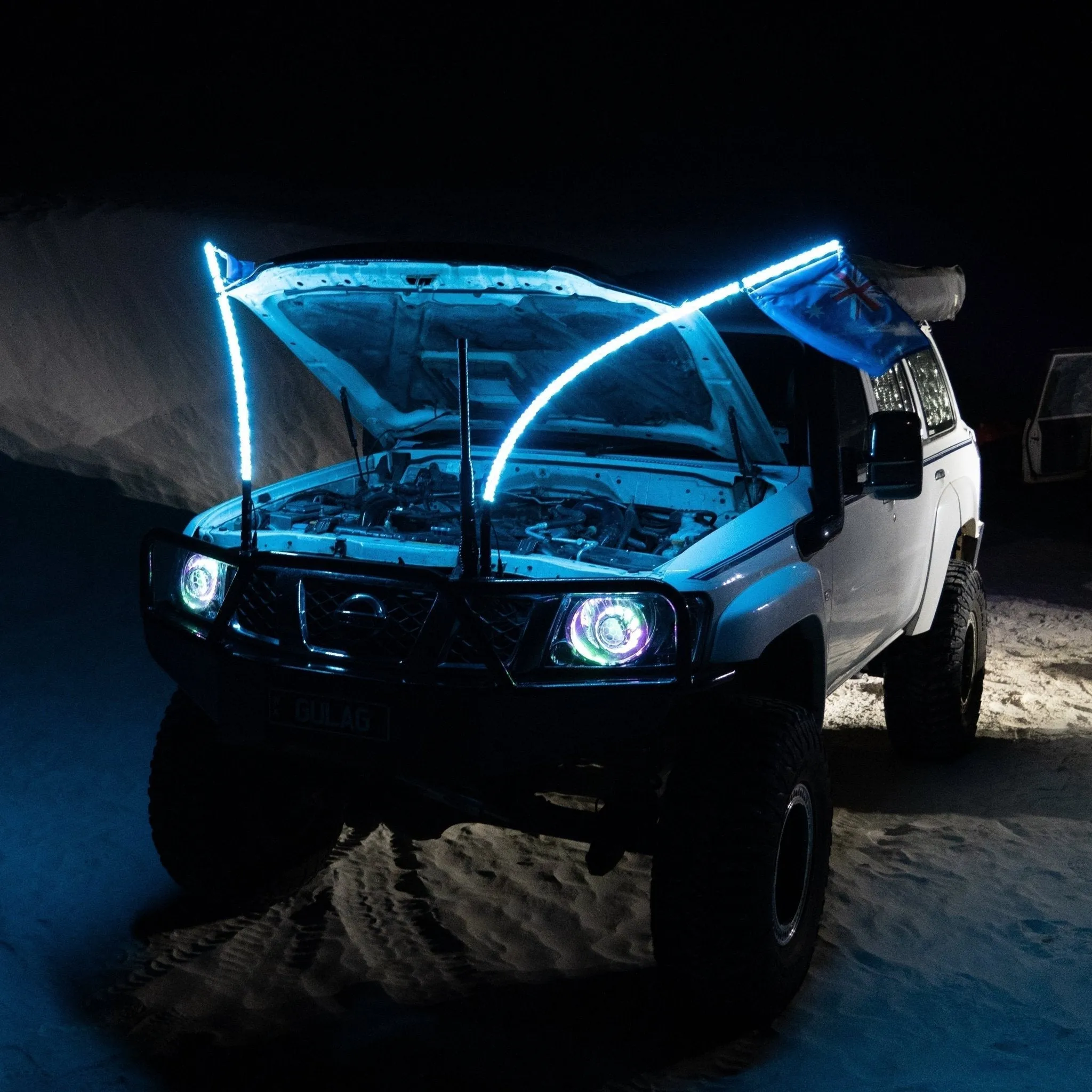 5ft LED Whip Lights