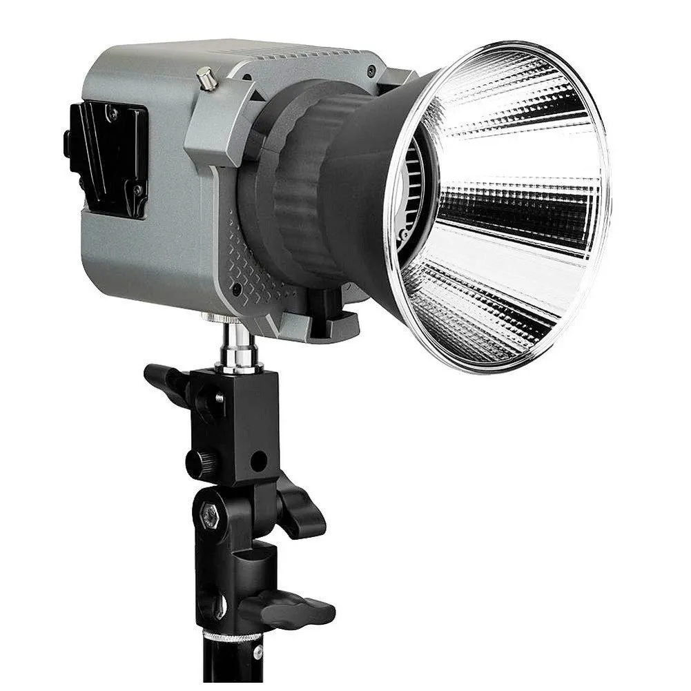 Aputure Amaran COB 60D Daylight LED Light