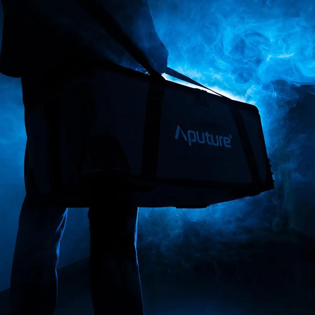 Aputure LS 300D II Pro Kit (Including Light Dome II Softbox and Light Stand) - Bundle