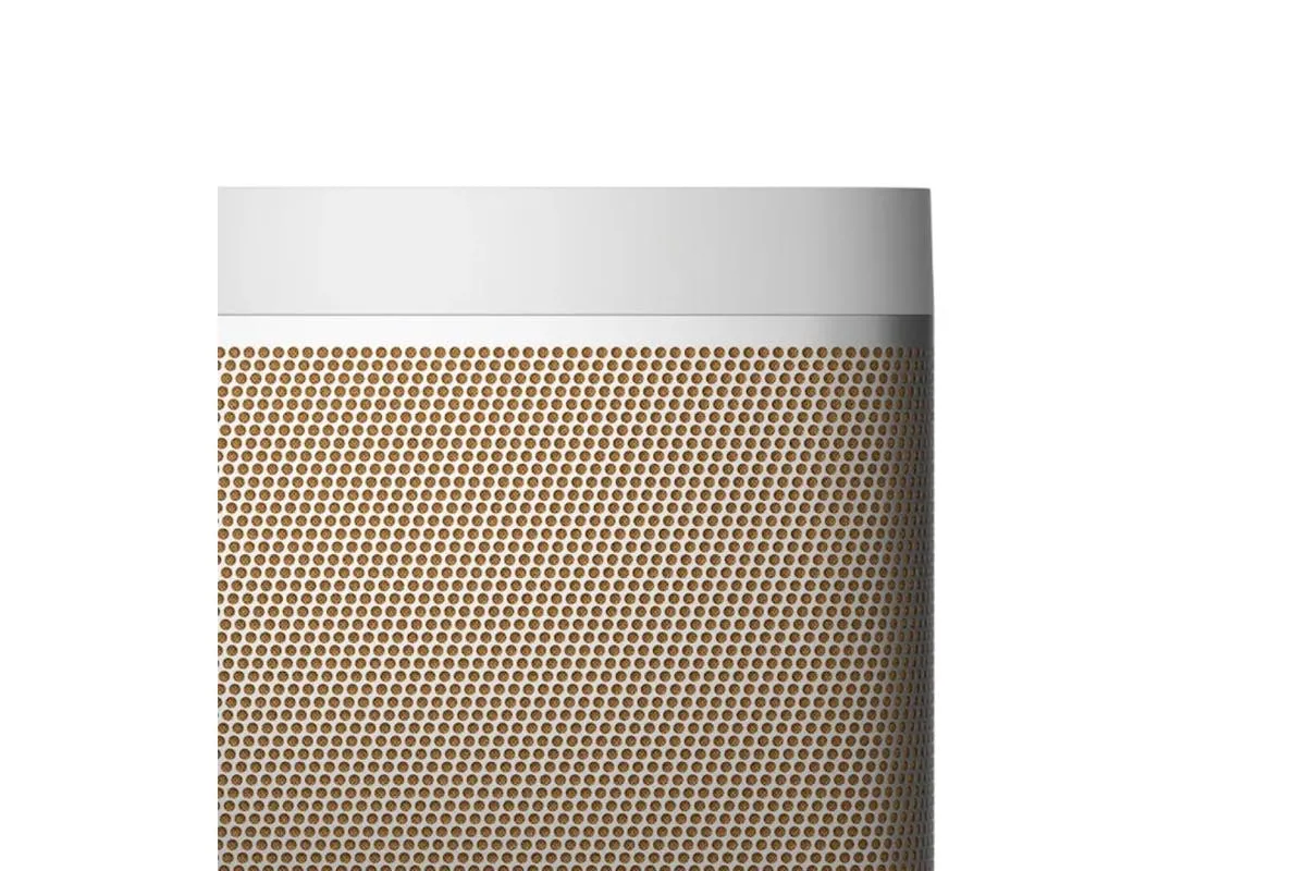 Bang & Olufsen Beolit 20 Bluetooth Speaker | Grey MIst