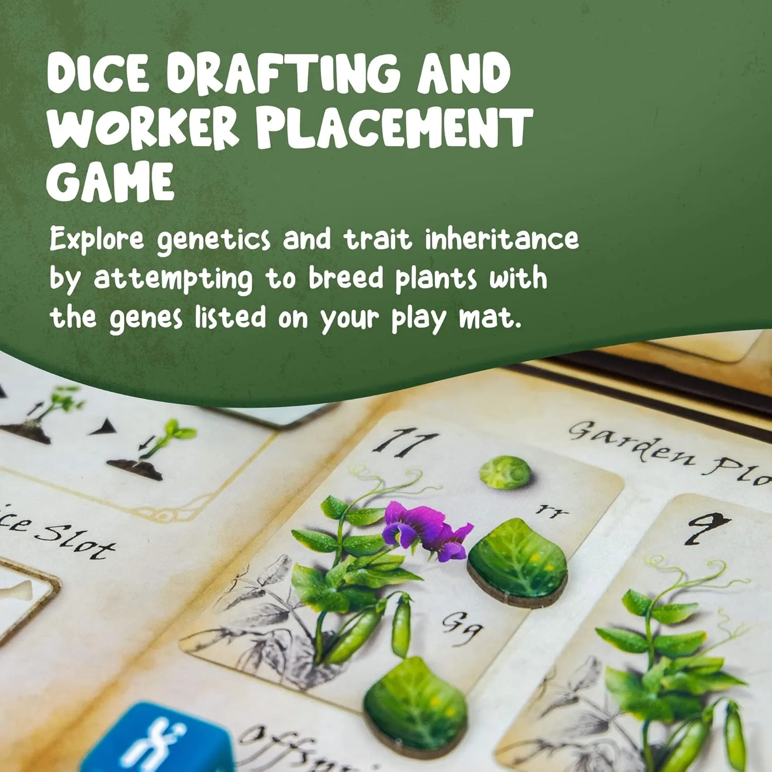Bundle - Genotype: A Mendelian Genetics Game w/ Collector's Edition Components Pack