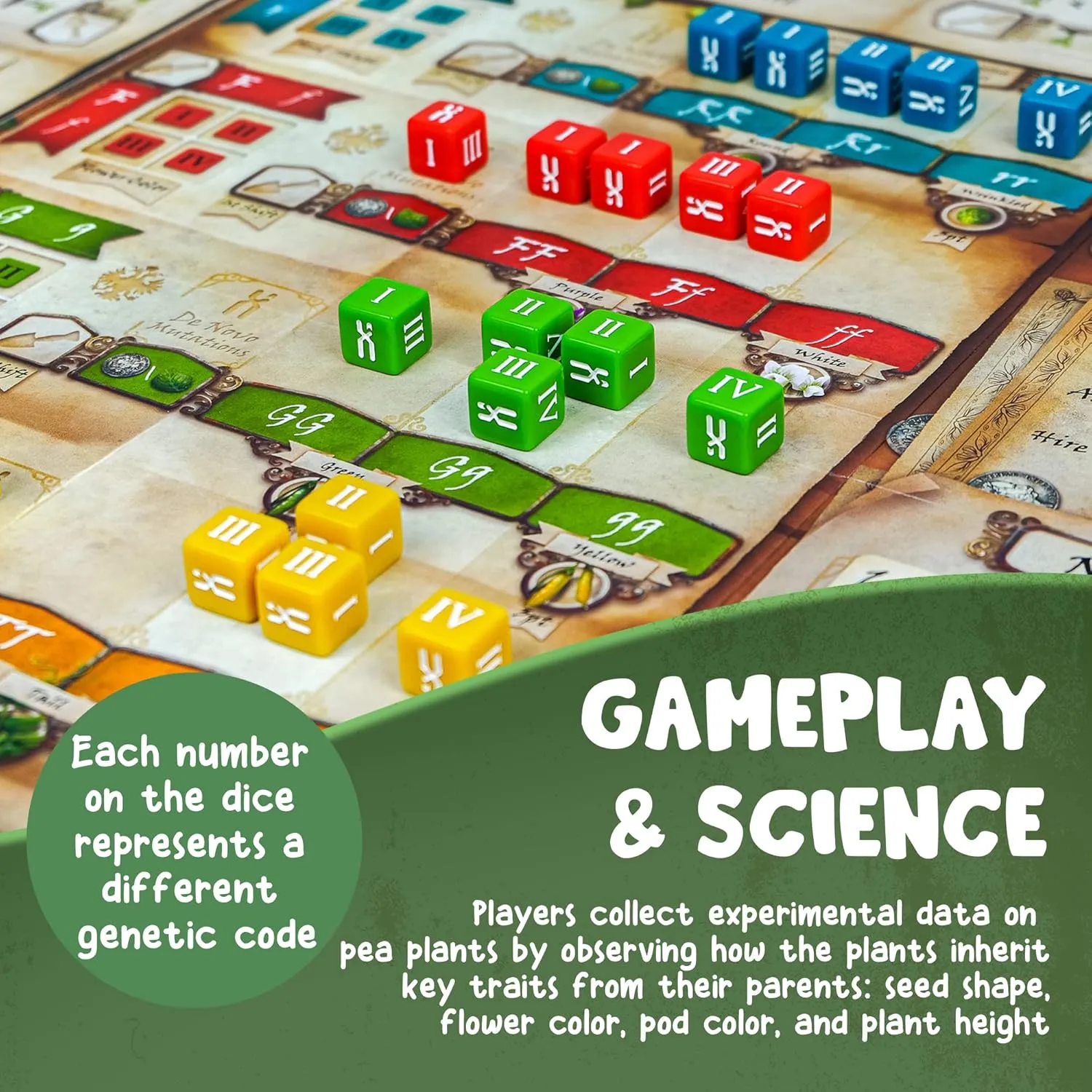 Bundle - Genotype: A Mendelian Genetics Game w/ Collector's Edition Components Pack