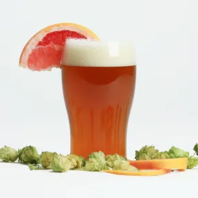Fresh Squished IPA Beer Recipe Kit