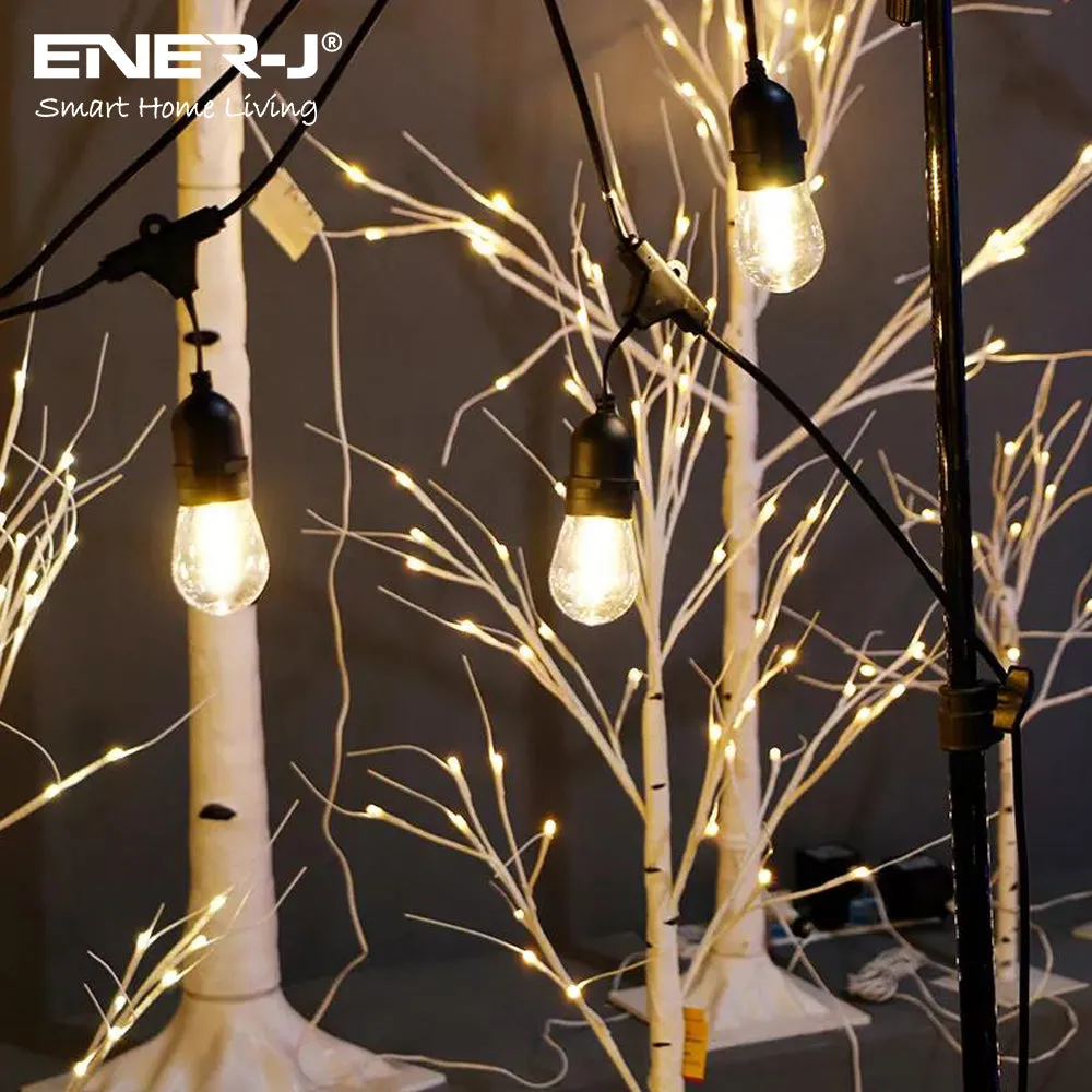 LED Outdoor Garden String Lights, 100FT/30M Festoon Patio Lights Mains Powered with 30 2 LED Filaments Shatterproof Waterproof IP65 Vintage Plastic Bulbs for Garden Party Wedding, Warm white