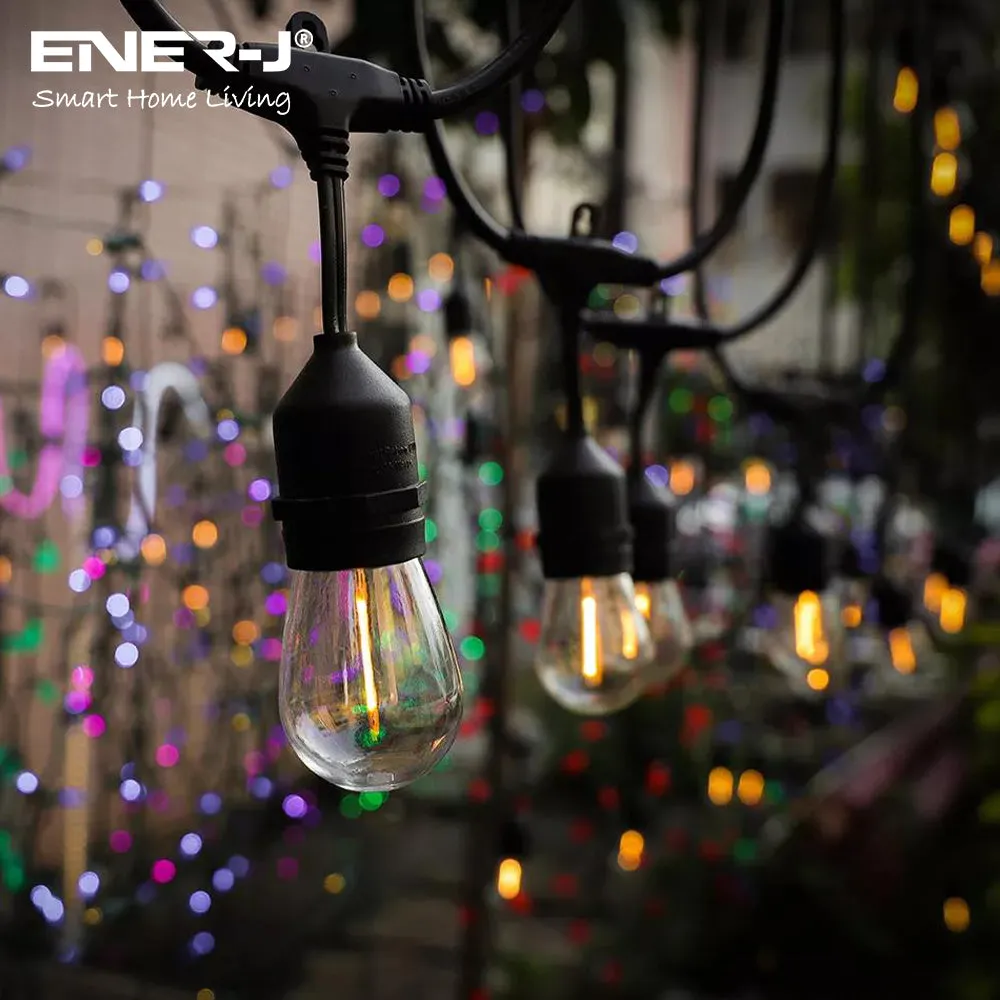 LED Outdoor Garden String Lights, 100FT/30M Festoon Patio Lights Mains Powered with 30 2 LED Filaments Shatterproof Waterproof IP65 Vintage Plastic Bulbs for Garden Party Wedding, Warm white