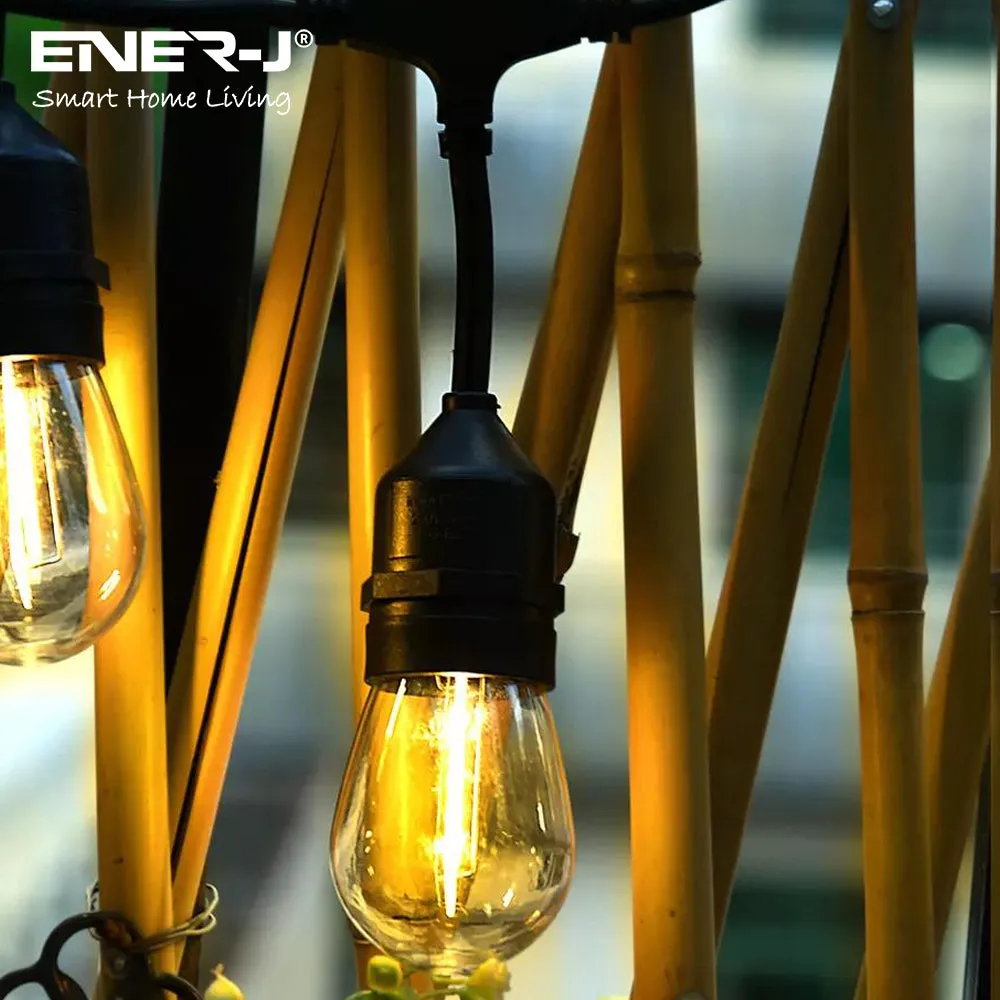 LED Outdoor Garden String Lights, 100FT/30M Festoon Patio Lights Mains Powered with 30 2 LED Filaments Shatterproof Waterproof IP65 Vintage Plastic Bulbs for Garden Party Wedding, Warm white