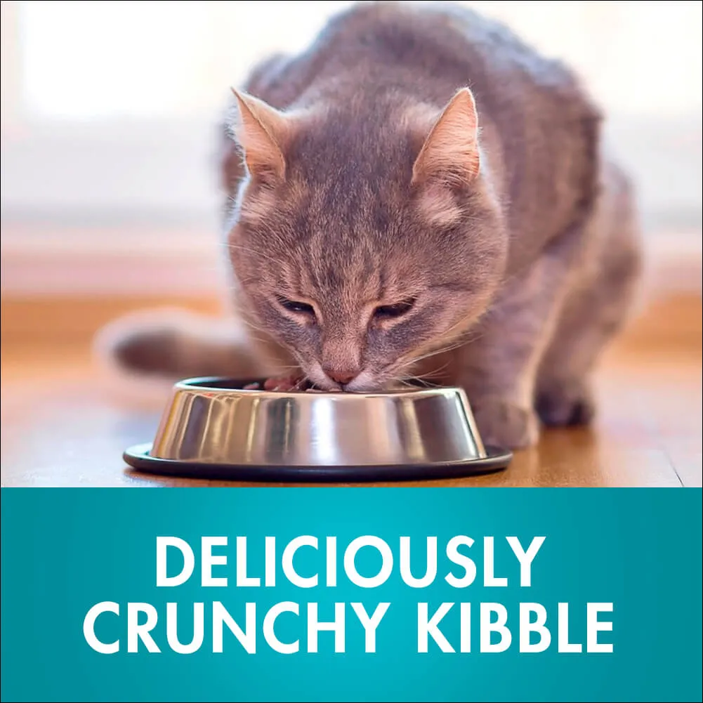 Purina One Adult Sensitive Salmon and Tuna Dry Cat Food 1.4Kg