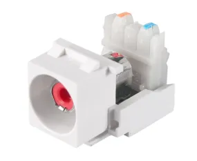 RCA 110 Punchdown Module - Available in 4 Colors