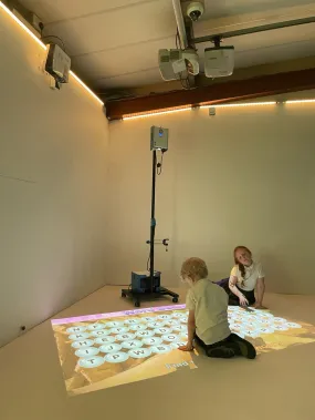 Sense Micro Battery
