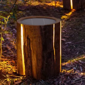 Solar Power illuminated Stub Outdoor Lights