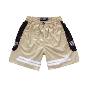 Wake Forest Demon Deacons 1996-1997 Retro Shorts